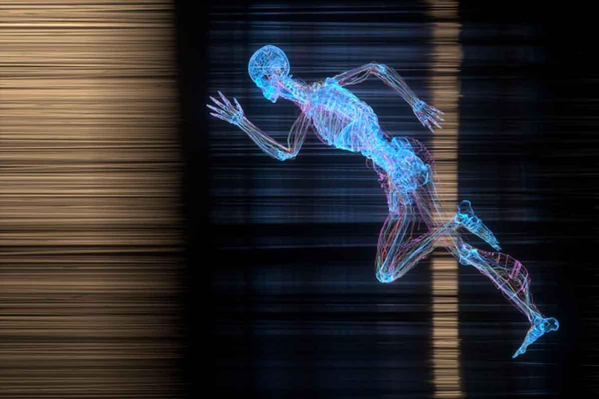 Biomechanical and Image-Guided Surgical Systems